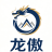 龙傲支付